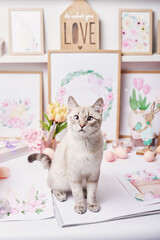 Easter cat with eggs and flowers. Gray kitten sitting on table. Spring greeting card Happy Easter....