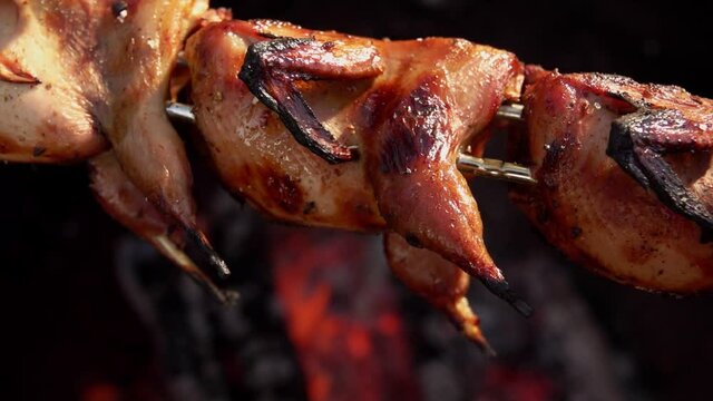 Close-up panorama of the mouth-watering roasted quails on the long skewers above the open fire