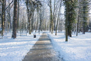 Park Dworski w Iłowej w zimowy, słoneczny dzień. - obrazy, fototapety, plakaty