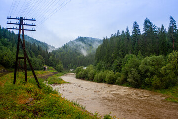 A fast mountainous shallow river rushes over the stones among the mountains, forests and green...
