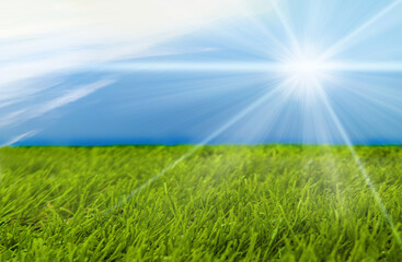Fototapeta na wymiar Beautiful spring field with green grass and bright sun