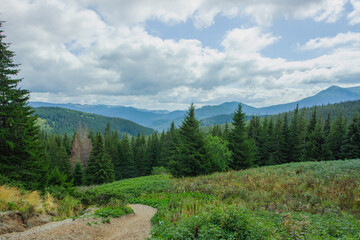 Fototapeta na wymiar Mountains landscapes hiking trails wilderness forest fields and flowers farm car road haystacks Carpathians