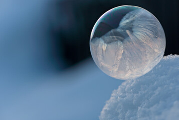 Frozen soap bubbles on a snowdrift