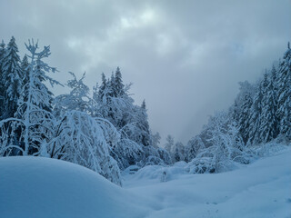Winter time in Bohinj mountains	