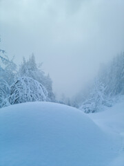 Winter time in Bohinj mountains with fog	