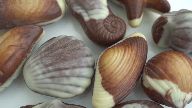 4k Rotation Seashell Chocolates Background