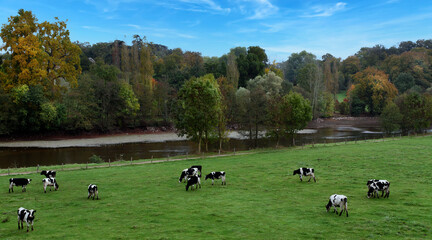 paysage rural mayennais