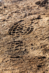 Footprints in sand