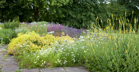 Medicinal herb garden in old English style with old varieties and mixed borders.