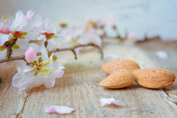 Fototapeta na wymiar Almond Flowers