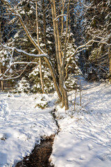 View of The Dagmar spring in winter, Kallviken, Raseborg, Finland