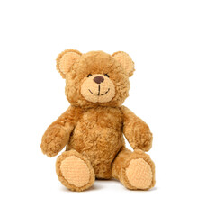 brown teddy bear sits on a white background