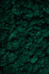 green grunge background