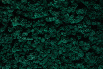 abstract green background