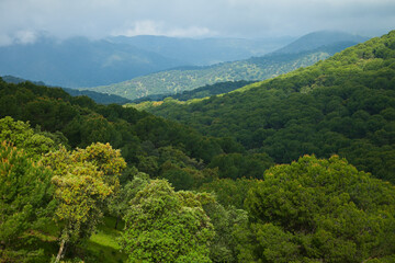 Fototapeta na wymiar Parque Natural Sierra de Andújar, Jaen, Andalucía, España