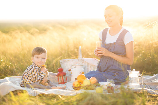 Little cute boy son and his beautiful pregnant mom at picnic