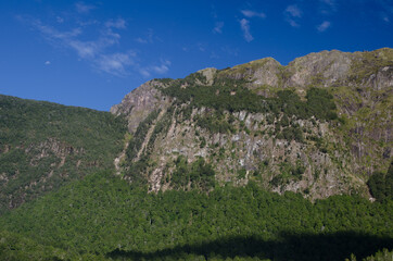 Cliff and forest. Fiordland National Park. Southland. South Island. New Zealand.