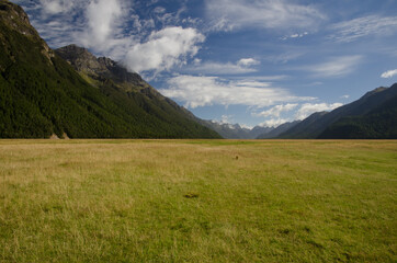 Naklejka premium Erlington valley in Fiordland National Park. Southland. South Island. New Zealand.