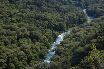 Fototapeta na wymiar River in Fiordland National Park. Southland. South Island. New Zealand.