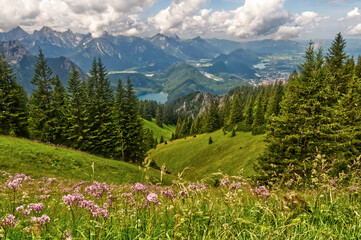 Bawaria, Niemcy, Neuschwanstein