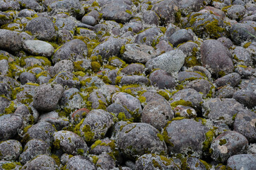 Stones and mosses in Milford. Fiordland National Park. Southland. South Island. New Zealand.