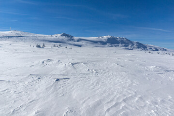Fototapeta na wymiar Winter view of Platoto region at Vitosha Mountain, Bulgaria