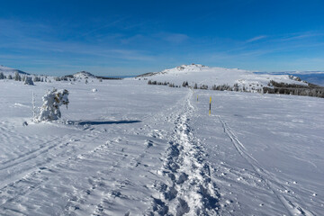Fototapeta na wymiar Winter view of Platoto region at Vitosha Mountain, Bulgaria