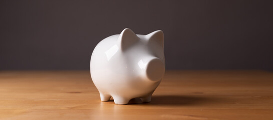 money box pig piggybank white