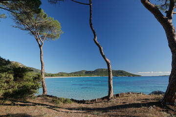 Plage de Palombaggia en Corse du Sud
