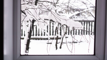 Winter landscape seen through the window. Branches tree under snow in frosty morning, fence in the background