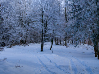 Photo of the tourist trail in winter