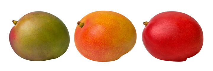 Mango fruits isolated on white background three different