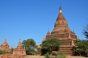 ミャンマー1　バガン遺跡の仏塔