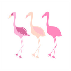 Set of pink flamingos doodle vector. Cartoon hand-drawn stock illustration. Isolated on white background.