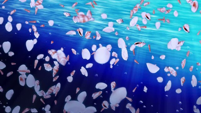 Flying many sea shells in blue water. Collection of realistic shellfish. Tropical underwater. 3D loop animation of shells rotating.