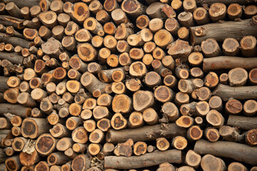 A stacked cut tree branches making interesting background for banners
