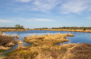 Brackvenn between Monschau Germany and Eupen Belgium Europe