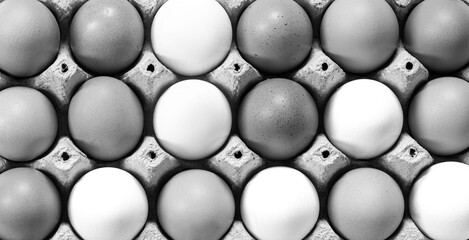 Close-up view of raw chicken eggs in egg box on white wooden background