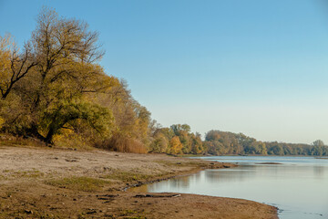 Autumn landscape. River bank and colorful forest