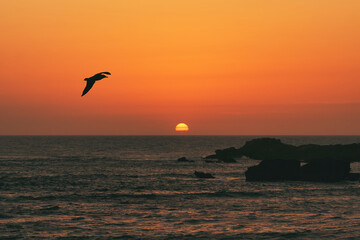 Fototapeta na wymiar A Lonely Seagull, The Half-Set Sun And Ruins In The Sea, Essaouira, Morocco.