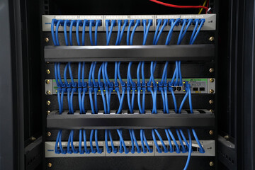  cat6 patch cord cables going from patch panel to 48 port network switches.