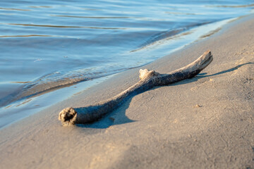 A snag lies in the sand near the water's edge