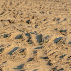 Traces of the bike on the river with a sandy beach