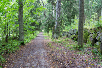 park paths among stones and forest