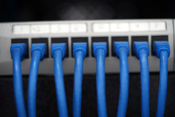 network hub and patch cables
