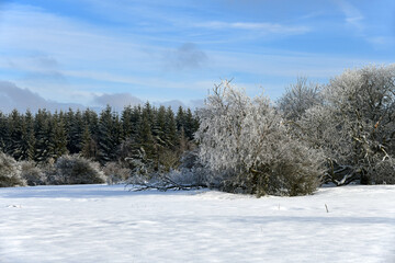 weiße Winterlandschaft vor blauem Himmel