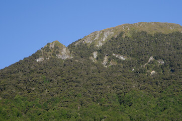 Fototapeta na wymiar Mountain in Fiordland National Park. Southland. South Island. New Zealand.
