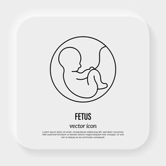 Development of fetus in uterine. Gynecology, reproductive. Thin line icon. Vector illustration.