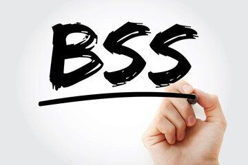 BSS - Business Support System acronym with marker, business concept background