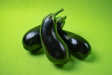 bright eggplant on green background